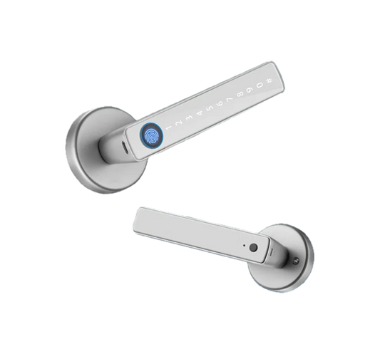 XSDTS Smart Door Lock Handle